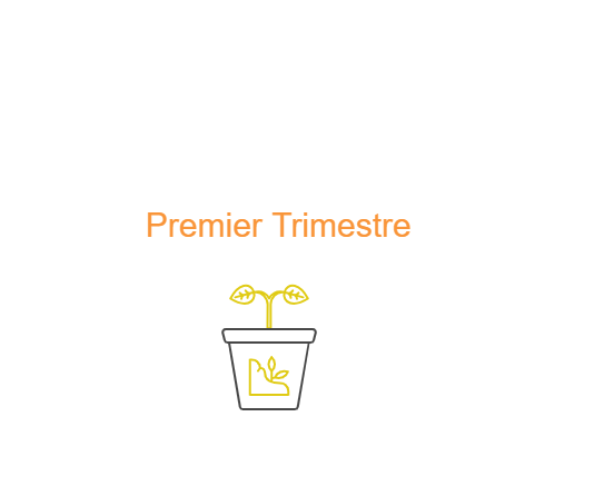 Premier trimestre