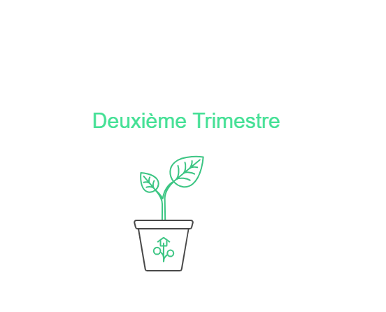 Deuxième trimestre